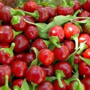 Sementes de Pimenta Cereja (Cherry Bomb)