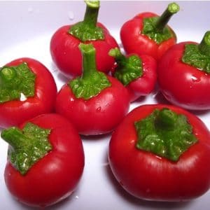 sementes de pimenta cereja cherry bomb 1810 e1495748947871