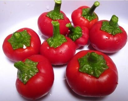 sementes de pimenta cereja cherry bomb 1810 e1495748947871