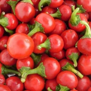Sementes de Pimenta Cereja (Cherry Bomb)