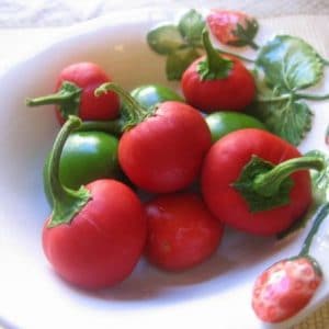 Sementes de Pimenta Cereja (Cherry Bomb)