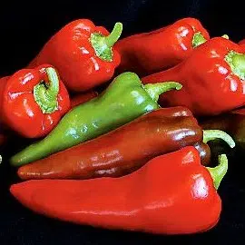 sementes de pimenta doce italiana 4766 e1495809039692