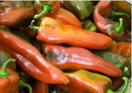 sementes de pimenta doce italiana 4778 e1495808954507