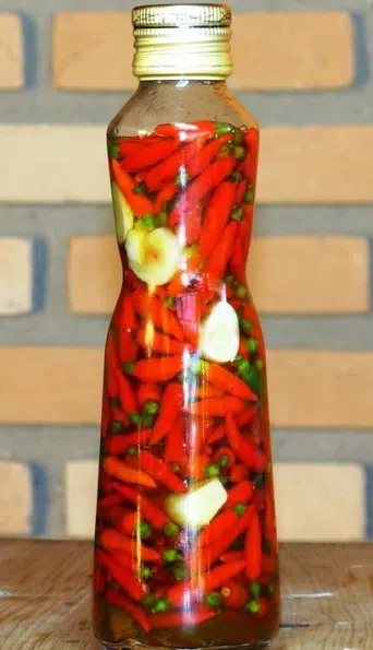 sementes de pimenta malaguetinha 0252 e1495750240205