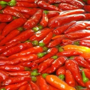 sementes de pimenta malaguetinha 1357 e1495750202870