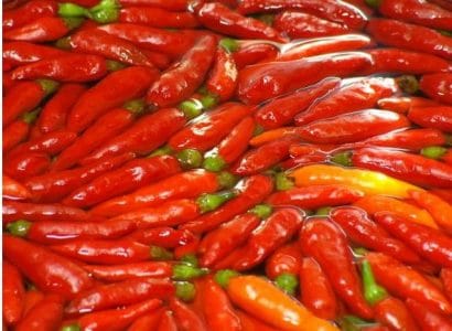 sementes de pimenta malaguetinha 1357 e1495750202870