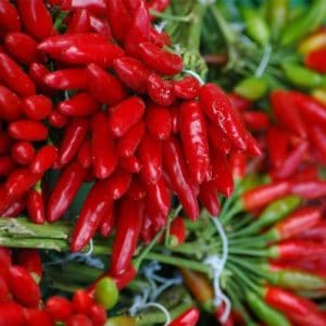 sementes de pimenta malaguetinha 2848 e1495750265678