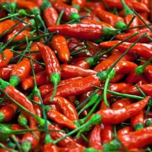 sementes de pimenta malaguetinha 9175 e1495750177685