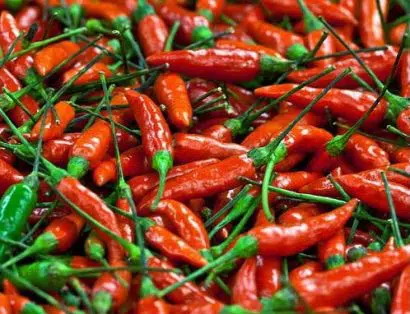 sementes de pimenta malaguetinha 9175 e1495750177685