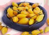 sementes online de pimenta fidalga 2601 e1495748400271