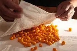 sementes online de pimenta fidalga 2608 e1495748342989