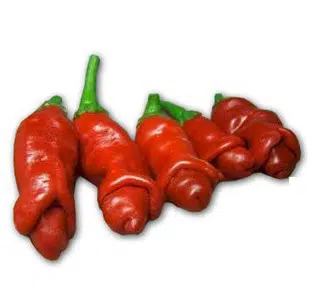 sementes online de pimenta peter pepper 1266 e1495749403128