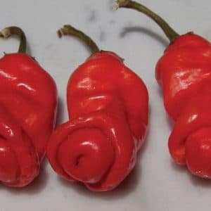 Comprar Sementes Online de Pimenta Peter Pepper