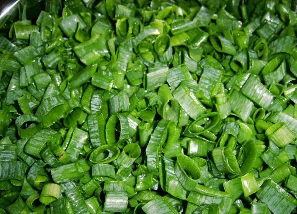 tempero cebolinha verde 20 sementes 3509 e1495724432453