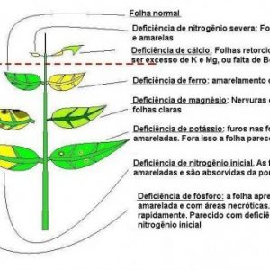 casa verde raiz fertilizante 120ml 5826 e1496266612543