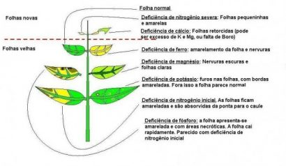 casa verde raiz fertilizante 120ml 5826 e1496266612543