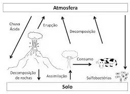 enxofre dimy fertilizante 30g 0493 e1496266307273