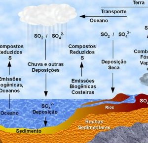 enxofre dimy fertilizante 30g 3572 e1496266156273