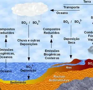enxofre dimy fertilizante 30g 3572 e1496266156273