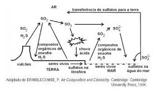 enxofre dimy fertilizante 30g 8290 e1496873875371