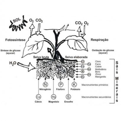 fertilizante para flores npk 04 14 08 120ml 1503