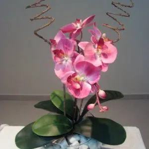 fertilizante para orquidea 100g 0683 e1496269641874