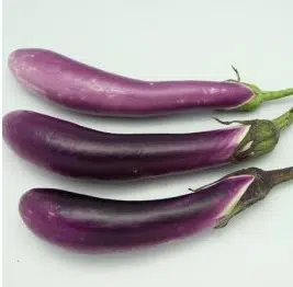 berinjela longa chinesa 50 sementes 2603 e1496084361428