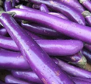 berinjela longa chinesa 50 sementes 5398 e1496084483309