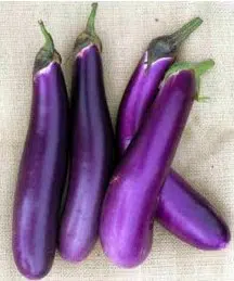 Berinjela Longa Chinesa: 50 Sementes
