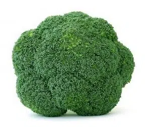 brocolis 50 sementes 7865 e1496856265569