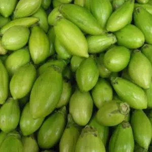 jilo 50 sementes 2485 e1496082737543