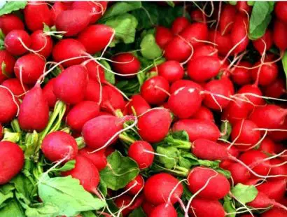 rabanete vermelho 50 sementes 0634 e1496858190869