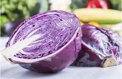 repolho roxo 50 sementes 5694 e1496085851782