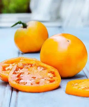 sementes de tomate jubileu 7512 e1496866639798