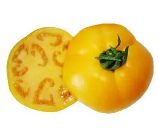 sementes de tomate jubileu 8708 e1496866664890