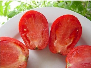 tomate san marzano 20 sementes 7293 e1496866704344