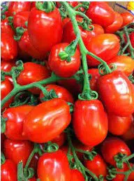 tomate san marzano 20 sementes 9486 e1496866767472