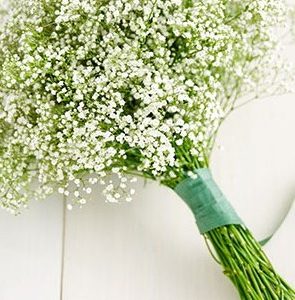 mosquitinho branco gypsophila 20 sementes 5274 e1496621001395