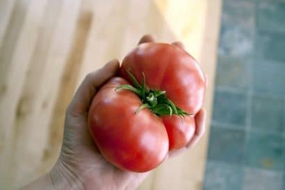 tomate belga rosa gigante 20 sementes 6691 e1496689318116