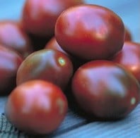 tomate big rainbow 20 sementes 5529 e1496689060721