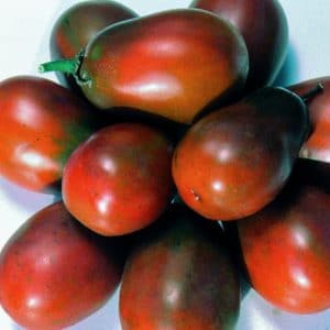 tomate big rainbow 20 sementes 5933 e1496689040614