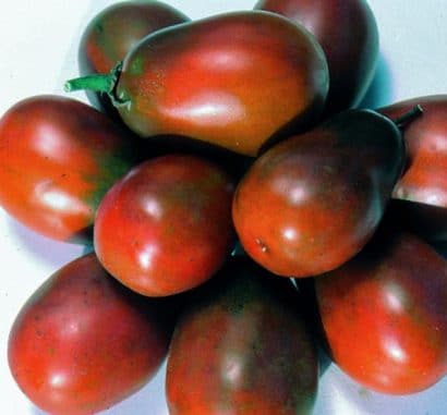 tomate big rainbow 20 sementes 5933 e1496689040614