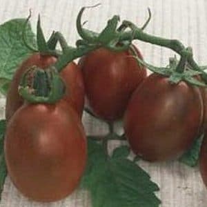 tomate big rainbow 20 sementes 9725 e1496689082303