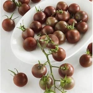 tomate black cherry 20 sementes 1926 e1496427412751