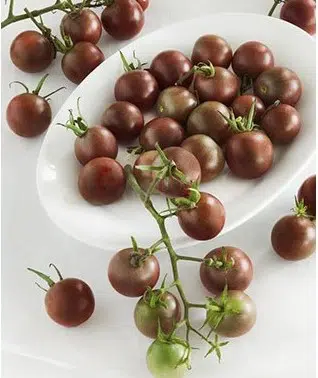 tomate black cherry 20 sementes 1926 e1496427412751