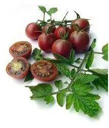 tomate black cherry 20 sementes 3229 e1496427382135