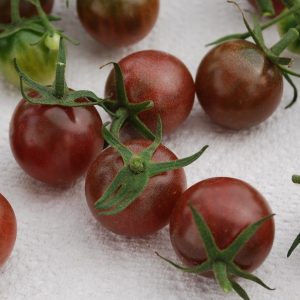 tomate black cherry 20 sementes 8940