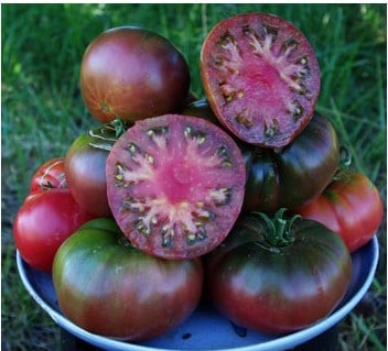 tomate black krim 20 sementes 1771 e1496426780895