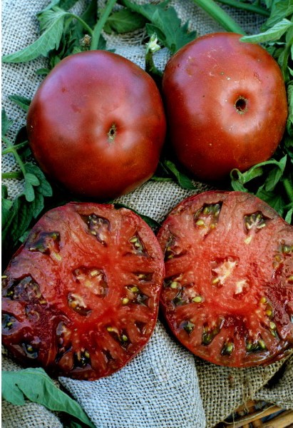 Tomate Black Krim: 20 Sementes