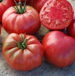 tomate black plum 20 sementes 3049 e1496688926559